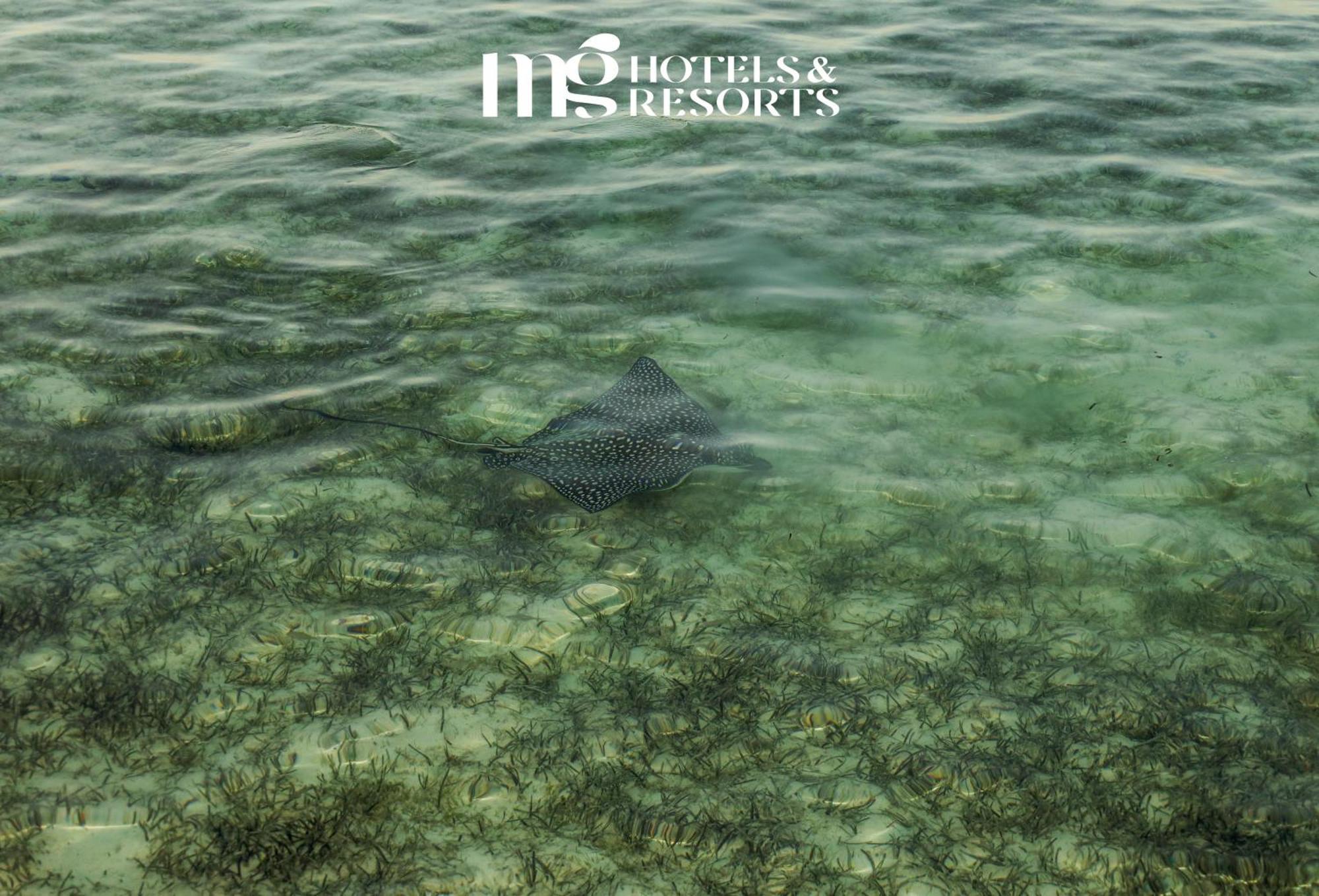 Mg Alexander The Great Hotel Marsa Alam Luaran gambar